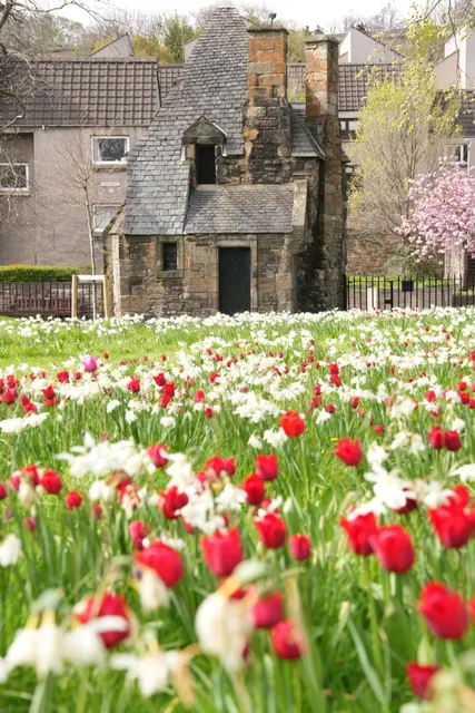  Step Into a Fairytale: Edinburgh’s Secret Physic Garden 🌷✨​​