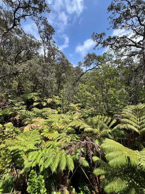  Big Island Hilo 4D3N Itinerary (Ultimate Guide!)