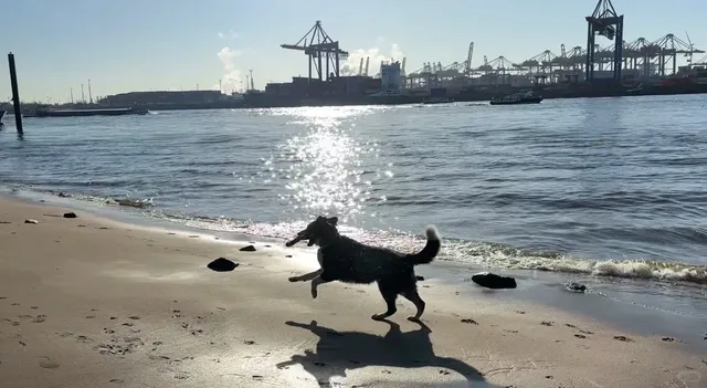 🇩🇪 Hamburg’s Hidden Gem: FREE Open-Air Ship Museum! ⚓