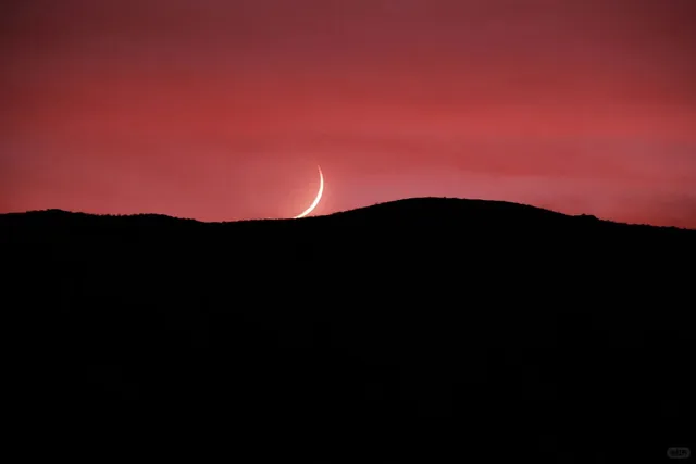 Ending 2025 with California Orange Sunshine 🌅