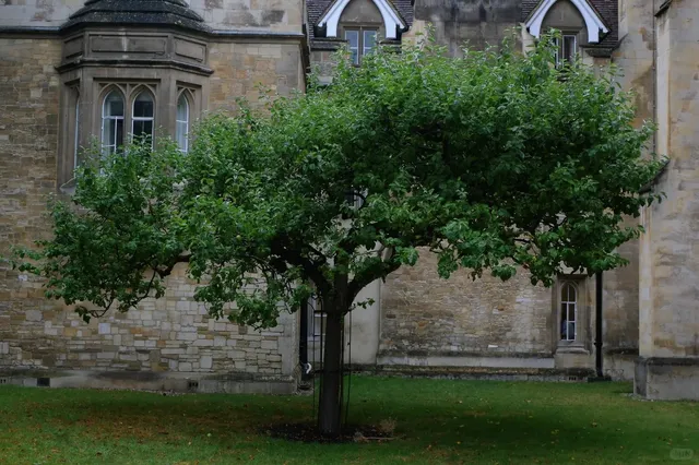 🇬🇧 Cambridge Must-Visit Spots: 9 Iconic Places 🏛️✨