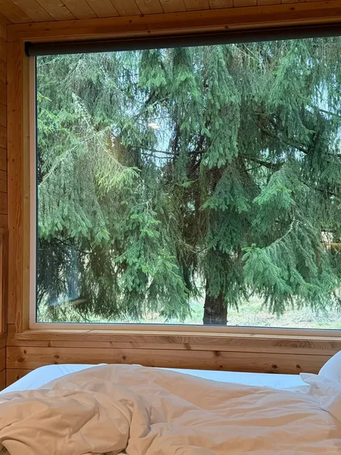 Seattle Surroundings | Cozy Winter Getaway Cabin 🏕️