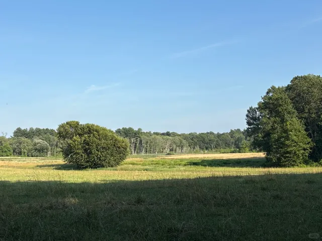 🌲 Mt. Misery – Boston’s Hidden Pine-Scented Escape! 🍃✨  