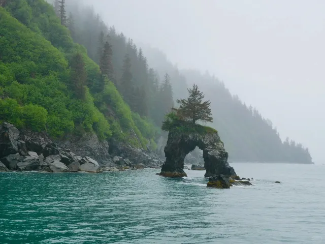 |Midnight Sun & Untamed Wilde