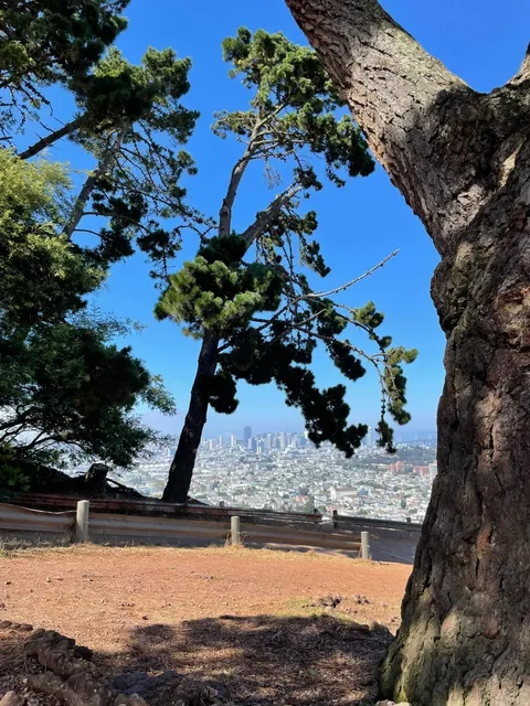 Bernal Heights Park: The Elusive Swing That Finally Appeared! 🌉✨