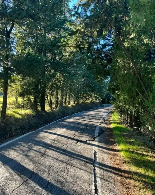 Bologna: A Hidden Sanctuary Along the Mountain Ridges