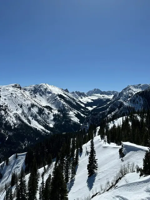 ⛷️ Flew All the Way to Aspen for This — Totally Worth It! 🌟