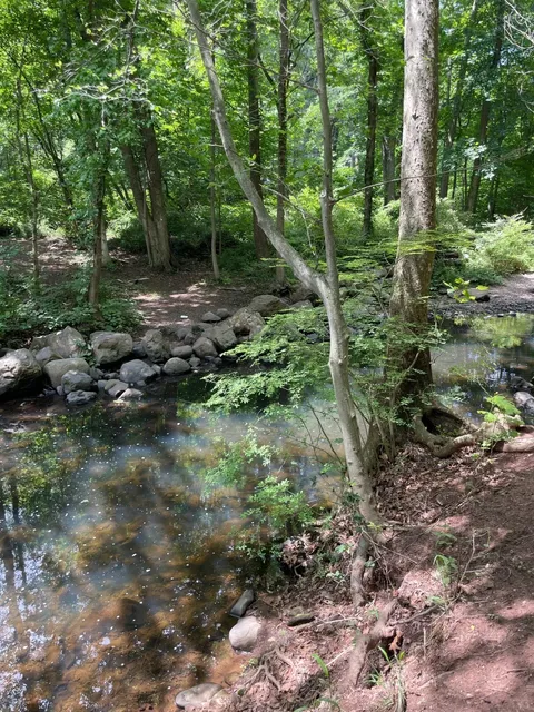 Outdoor OOTD Alert: Hiking in Color at South Mountain Reservation!