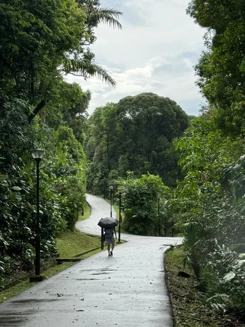 Singapore Hiking: South Ridges Trail 🚶‍♀️🌳