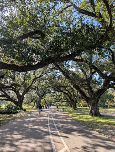 New Orleans: Scenery & Cuisine 🍃🍽️