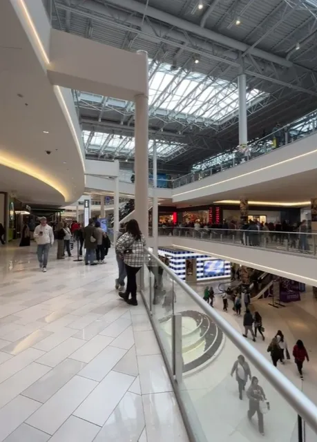 🍔 Shake Shack | The Modern American Classic That Just Hits Right