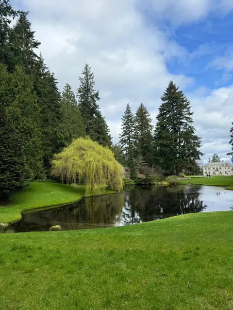 Exploring Bainbridge Island 🏟️