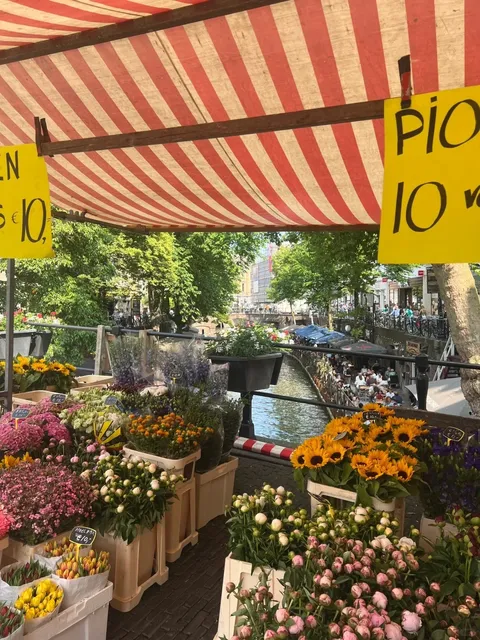 🇳🇱 Miffy’s Hometown Adventure | Netherlands Travel Diary