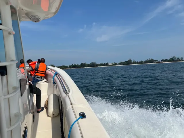 Île aux Tortues (Turtle Island) 🐢🌴