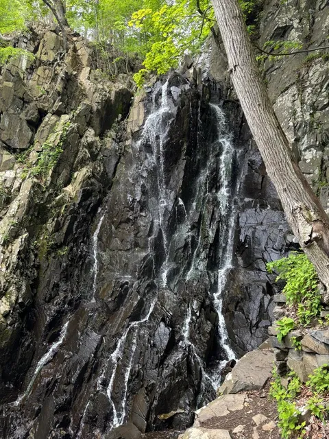 Giant Stairs at Palisades - NYC's Most Thrilling Spring Hike​​