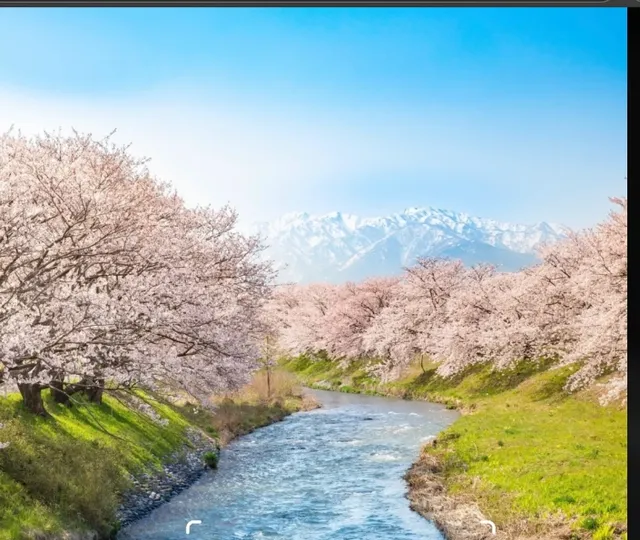 Japan Travel 🟫 Itinerary Recommendations 🌟🌸