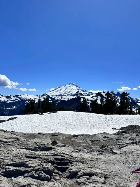 Mount Baker Day Trip + Easy Hiking Guide
