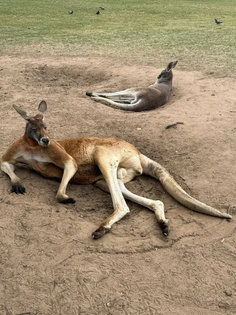Come to Brisbane, I just recommend these three things!