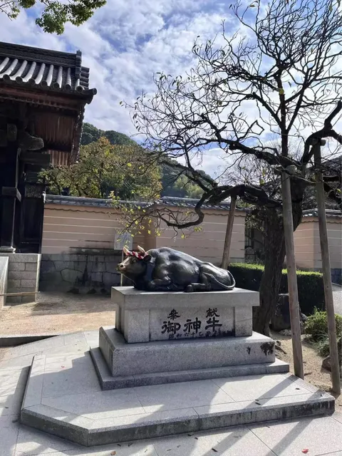Exploring Fukuoka - Dazaifu Tenmangu Shrine 🌟