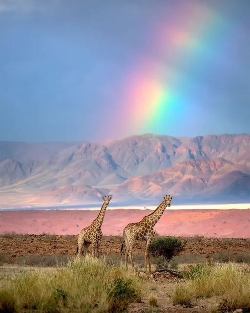 Namibia Travel Guide