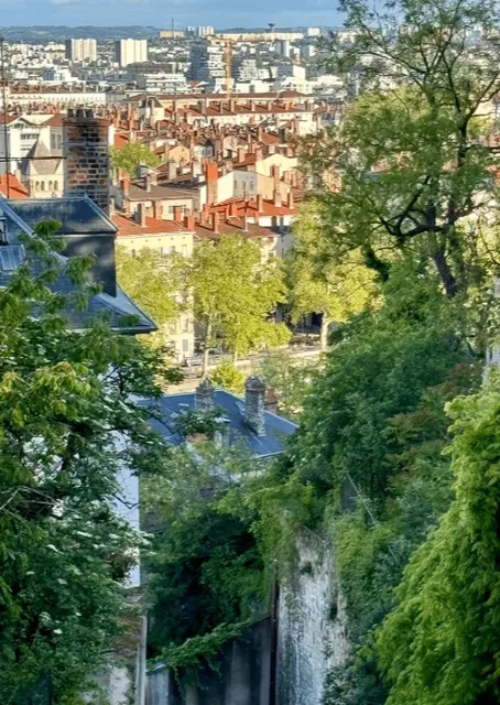 A Lyon Day with Endless Rain Showers