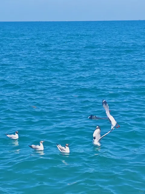 🌊 Breaking News from Qinghai Lake - China's Most Stunning Lake!