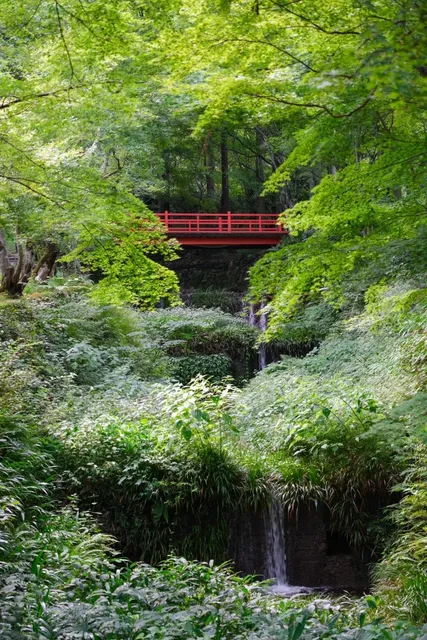 Sanzen-in Temple 🌿