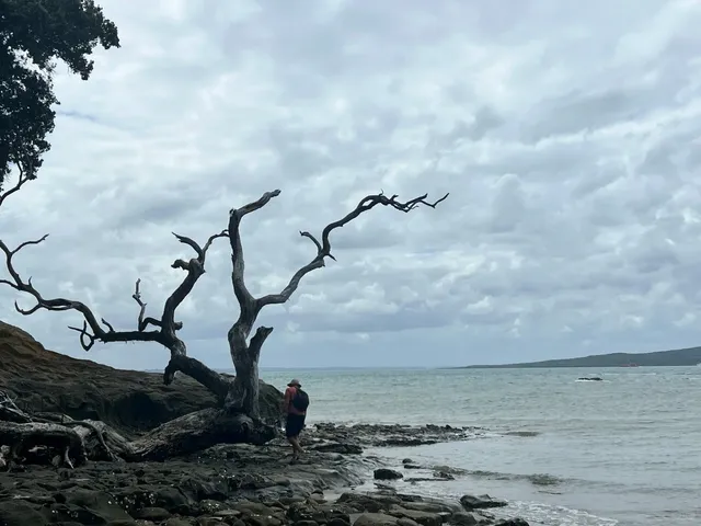 New Zealand's Nude Beaches 🏖️ | A Sunbathing Adventure