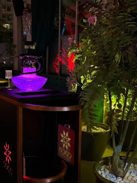 A Truly Luxurious Spot! 💫