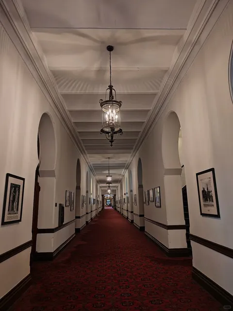 Tampa is Perfect for a CityWalk 🎇 – A Photographer’s Dream!