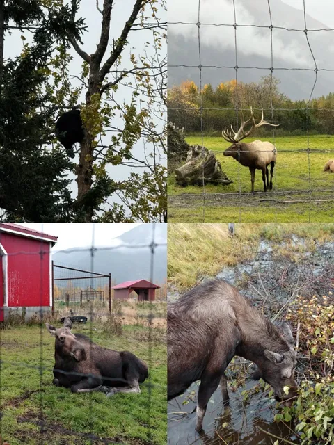 Anchorage｜Two-Day Trip Notes📝