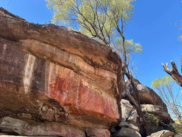 🇦🇺 Darwin Adventure – Kakadu National Park 🐊