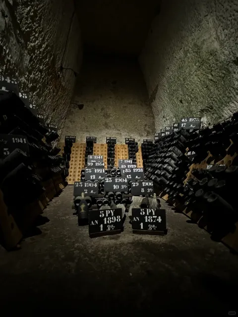 Day Trip from Paris – Ultimate Reims Guide 🚂✨