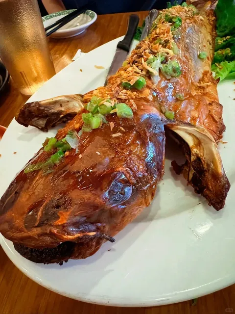 Where Vietnamese Pho Meets Unforgettable Catfish Spring Rolls! 🐟🌯  