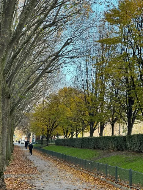 photo-3