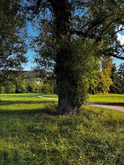 First Bike Ride in Jena | Exploring Along the Saale River 🚴‍♂️🌿