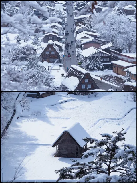 Japan Tourism Board's Top Picks 🗼🌸
