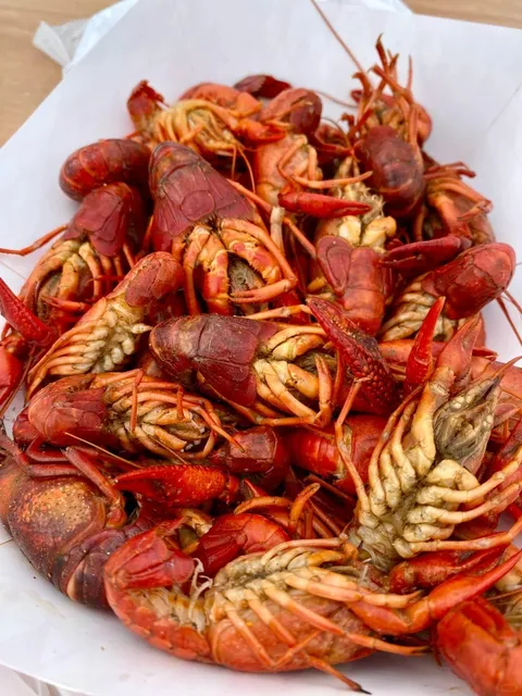 Houston Life | Crawfish Festival 🦞 A Foodie’s Paradise is Here!