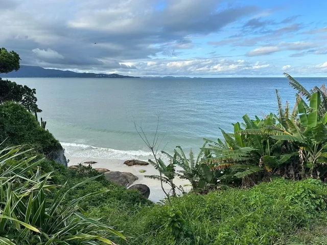 🌴 Brazil Travel Guide: Florianópolis in January – Paradise Awaits! 🌞
