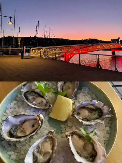 🇦🇺 Tasmania | Discovering Launceston - The Charming Port Town 🛥️