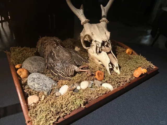 New York Dark Nordic Fine Dining: Aska 🌟