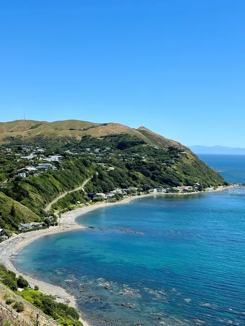 One-Day Hiking Guide Near Wellington 🥾