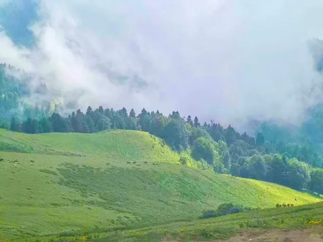 【5 Days & 4 Nights in Sochi】A Real Experience on Russia’s Black Sea 🌊