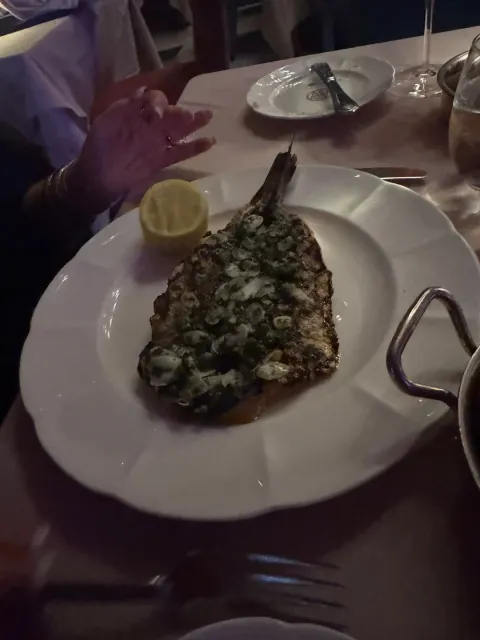 Brilliant, Amazing, Exceptional – That Says It All! 🌟