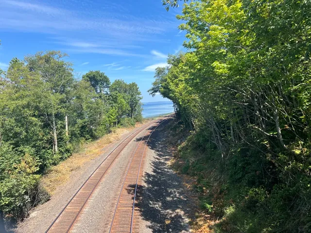 ​​Crab Hunting at Picnic Point Park - A Relaxing Seaside Adventure! 🦀