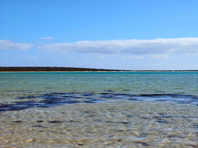 🐚 Shell Beach, WA – A Magical “No-Sand” Beach! 🌊✨