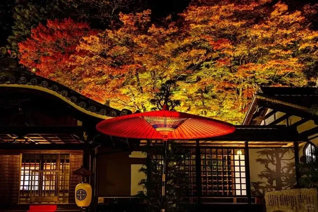 【Gero Onsen | Autumn Illumination at Onsenji Temple】(2)🍁✨
