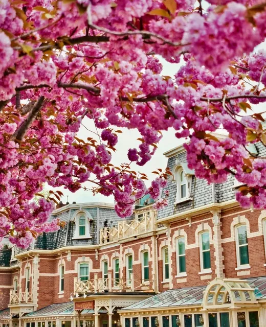 Toronto Area | Your Dream Fairy Tale Town is Here!