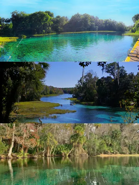 Florida｜Tampa’s 6 Most “Instagrammable” Photo Spots! 📷