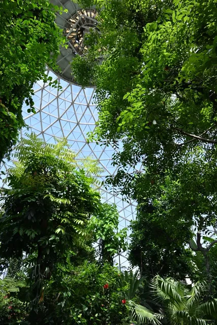 Day Trip from Chicago | Mitchell Park Conservatory in Milwaukee 🌵🌿🌸